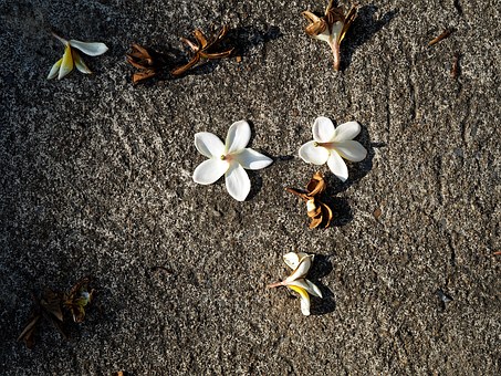 絶対喜んでもらえる！女性へ贈る送別会のプレゼント特集