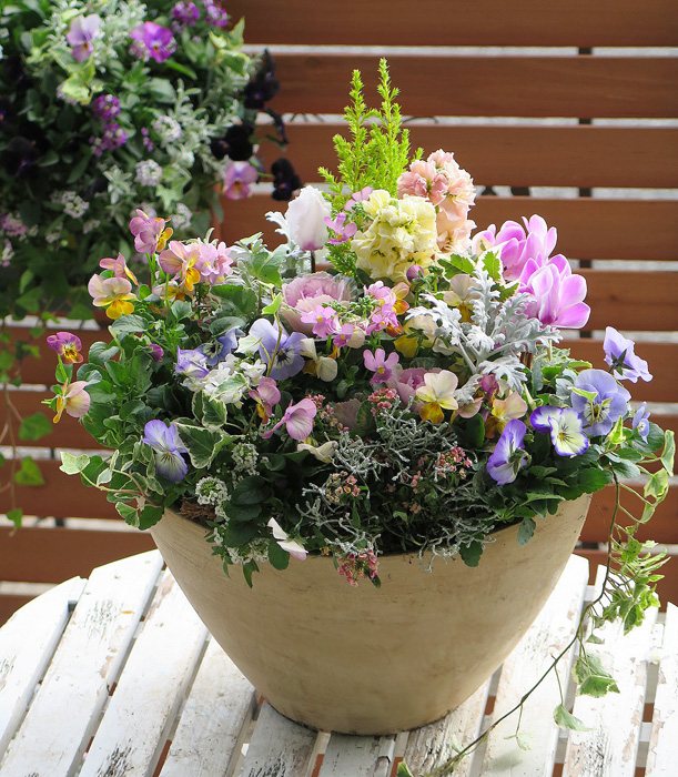 母の日にプレゼントしたい！おしゃれでセンス抜群の寄せ植えをご紹介