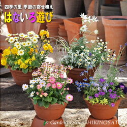母の日にプレゼントしたい！おしゃれでセンス抜群の寄せ植えをご紹介