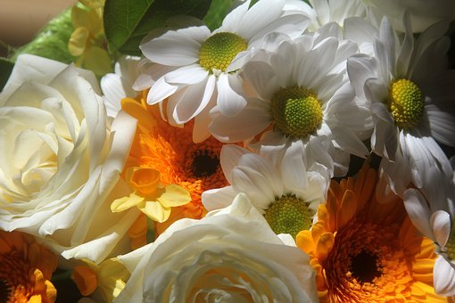 プレゼントで喜ばれる！人気のヘアオイル5選