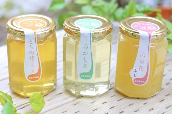 ギフト箱入りはちみつ　300g 3本セット