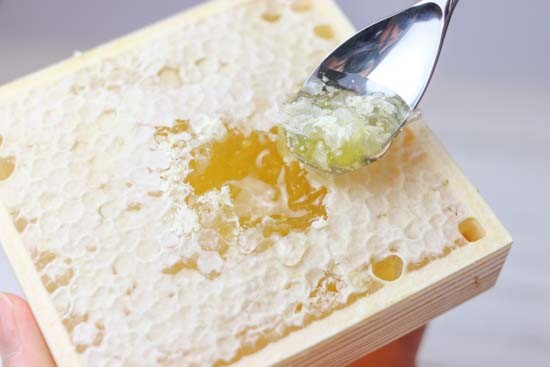 コムハ二ー(巣蜜)