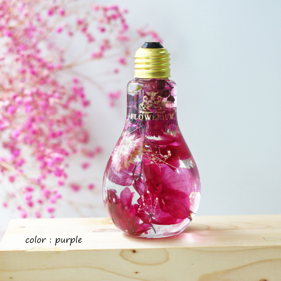 purple の画像