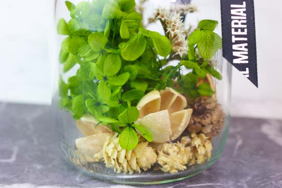 Reed Diffuseur　リードディフューザー