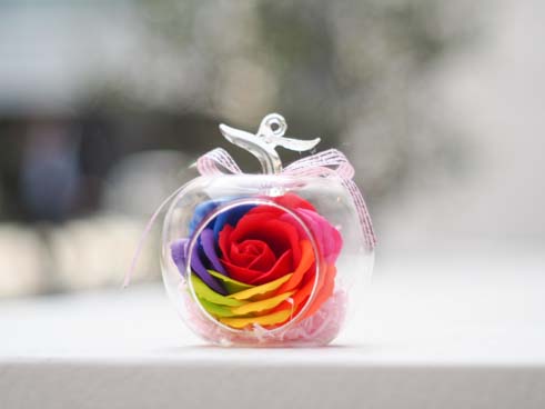 レインボーアップル［グラス＆フレグランスフラワー］