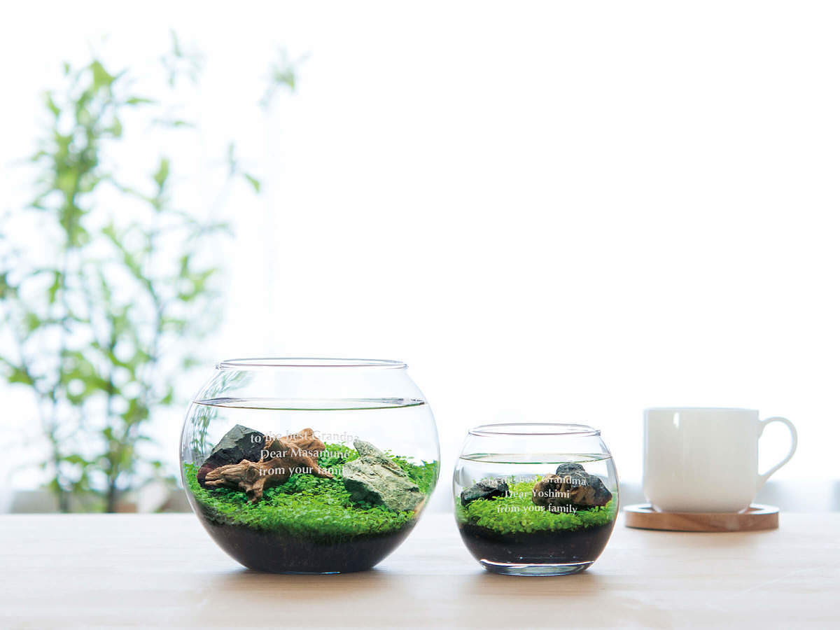 【メッセージが入れられる】アクアリウムキット