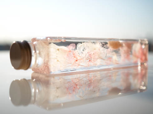 【今話題‼︎女性に人気!!】Pure Rose ハーバリウム