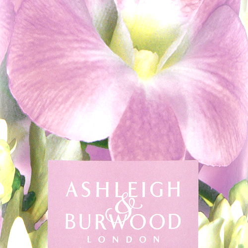 フリージア＆オーキッド