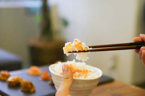 湿原紀行9つの味