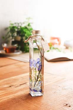 ヒーリングボトル-OASIS単品-