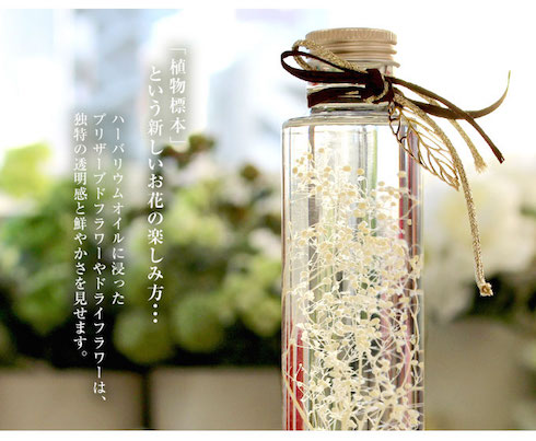 ハーバリウム-カスミ草のブーケ | プリザーブドフラワーIPFA タンプ店