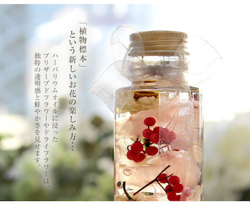 ハーバリウム-チェリーブロッサム