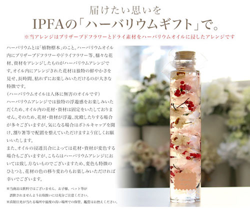 ハーバリウム-チェリーブロッサム