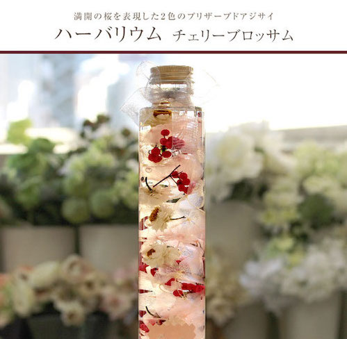 ハーバリウム-チェリーブロッサム