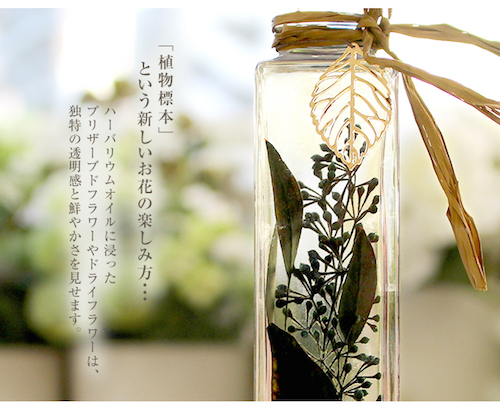 ハーバリウム ユーカリ