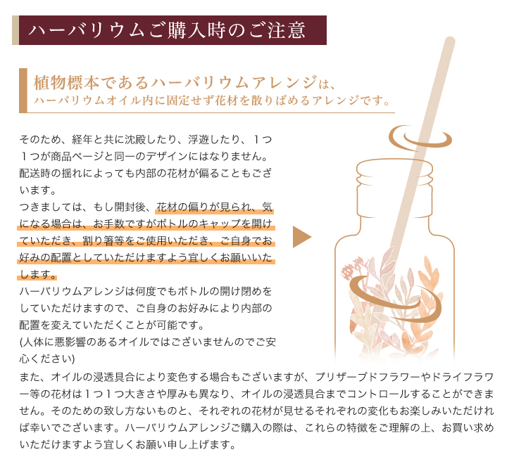 ハーバリウム ユーカリ