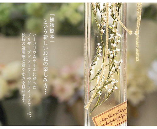 ハーバリウム-タタリカ