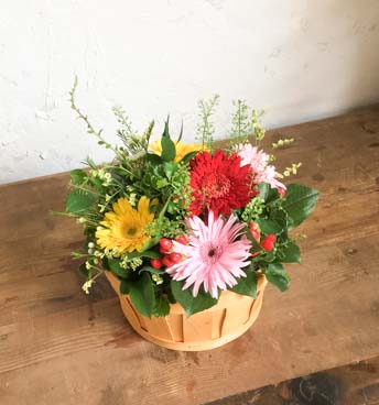 ガーベラアレンジメントミックスSS