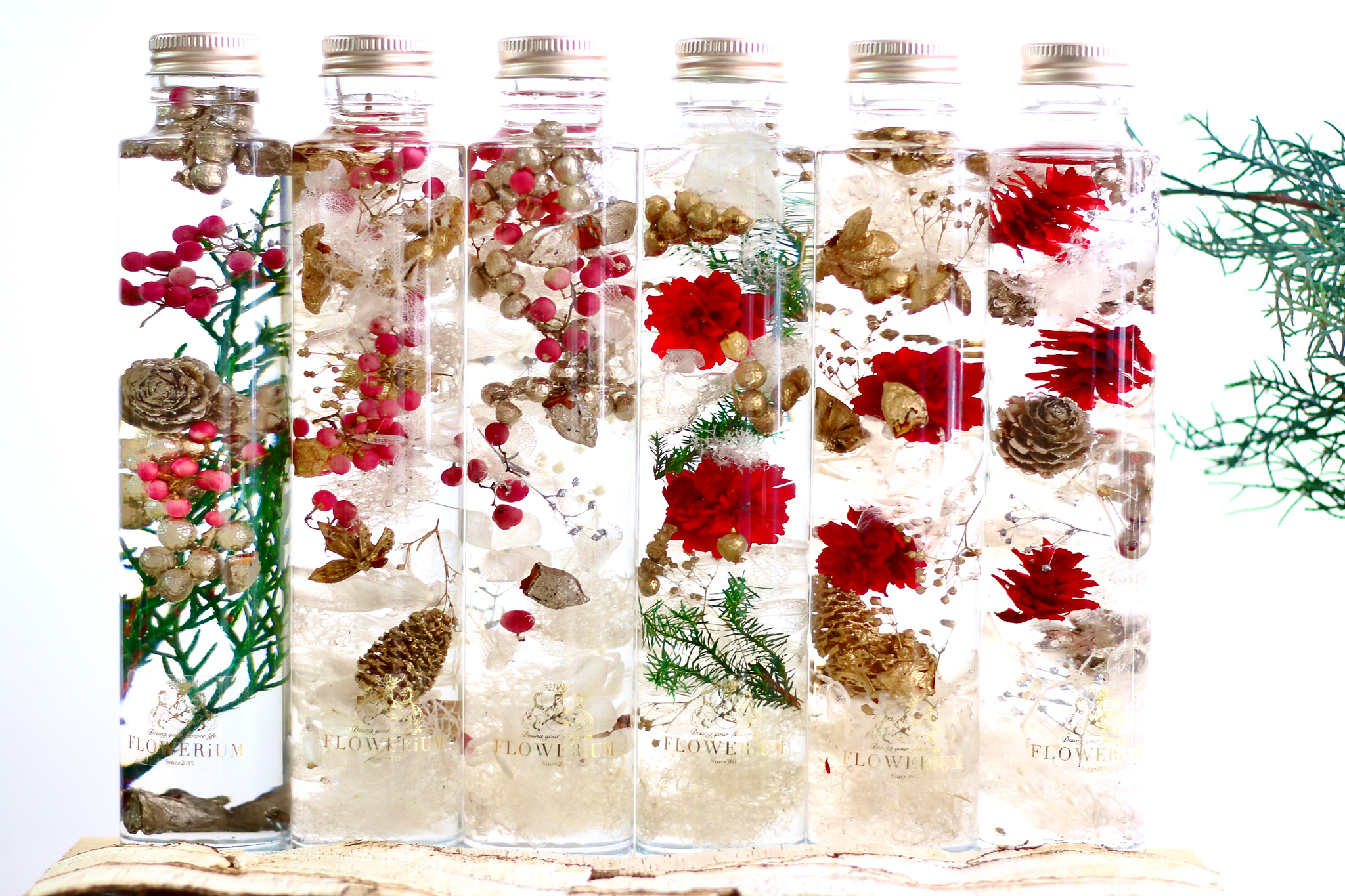 toilette（トワレ）