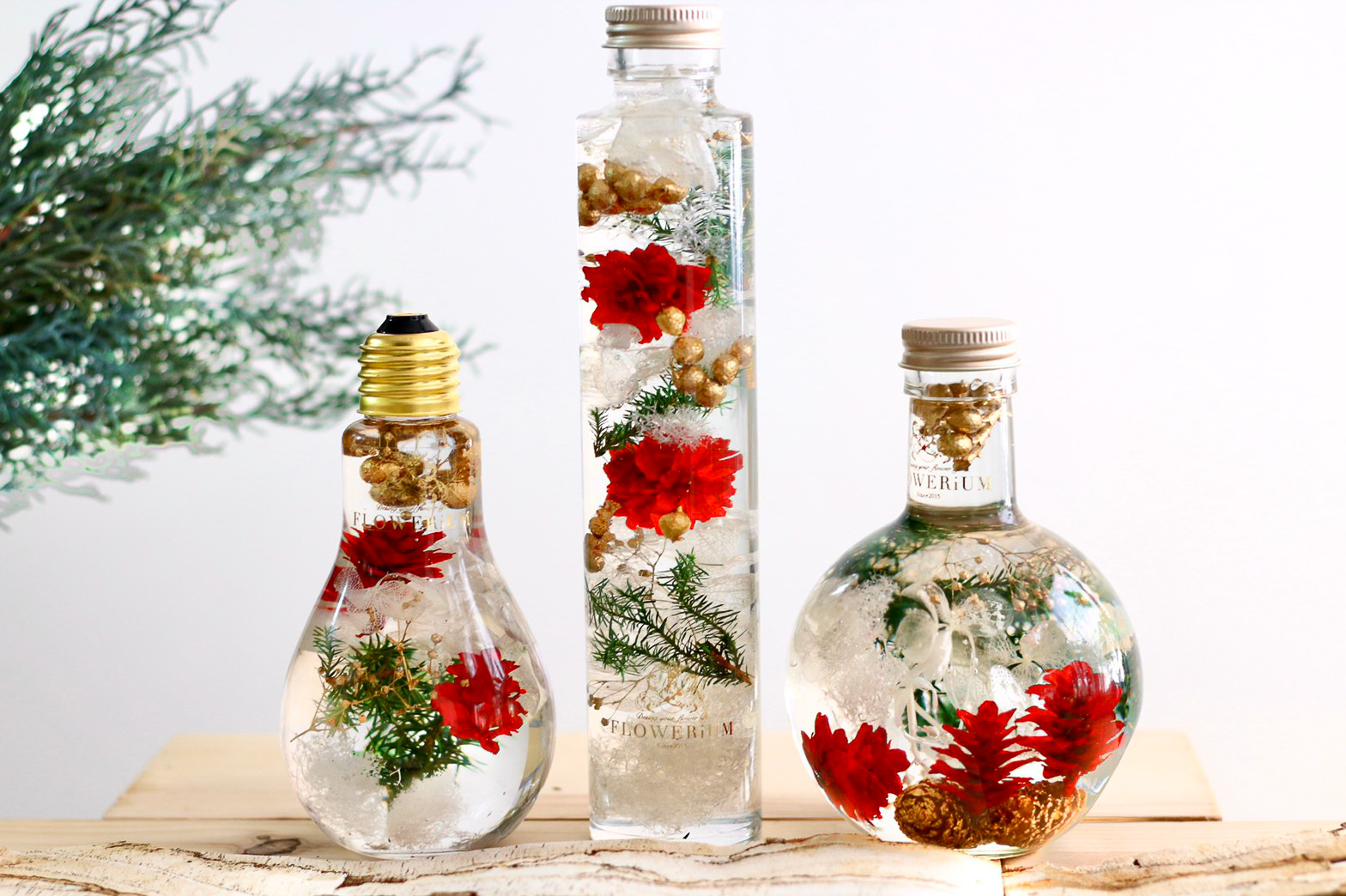 toilette（トワレ）