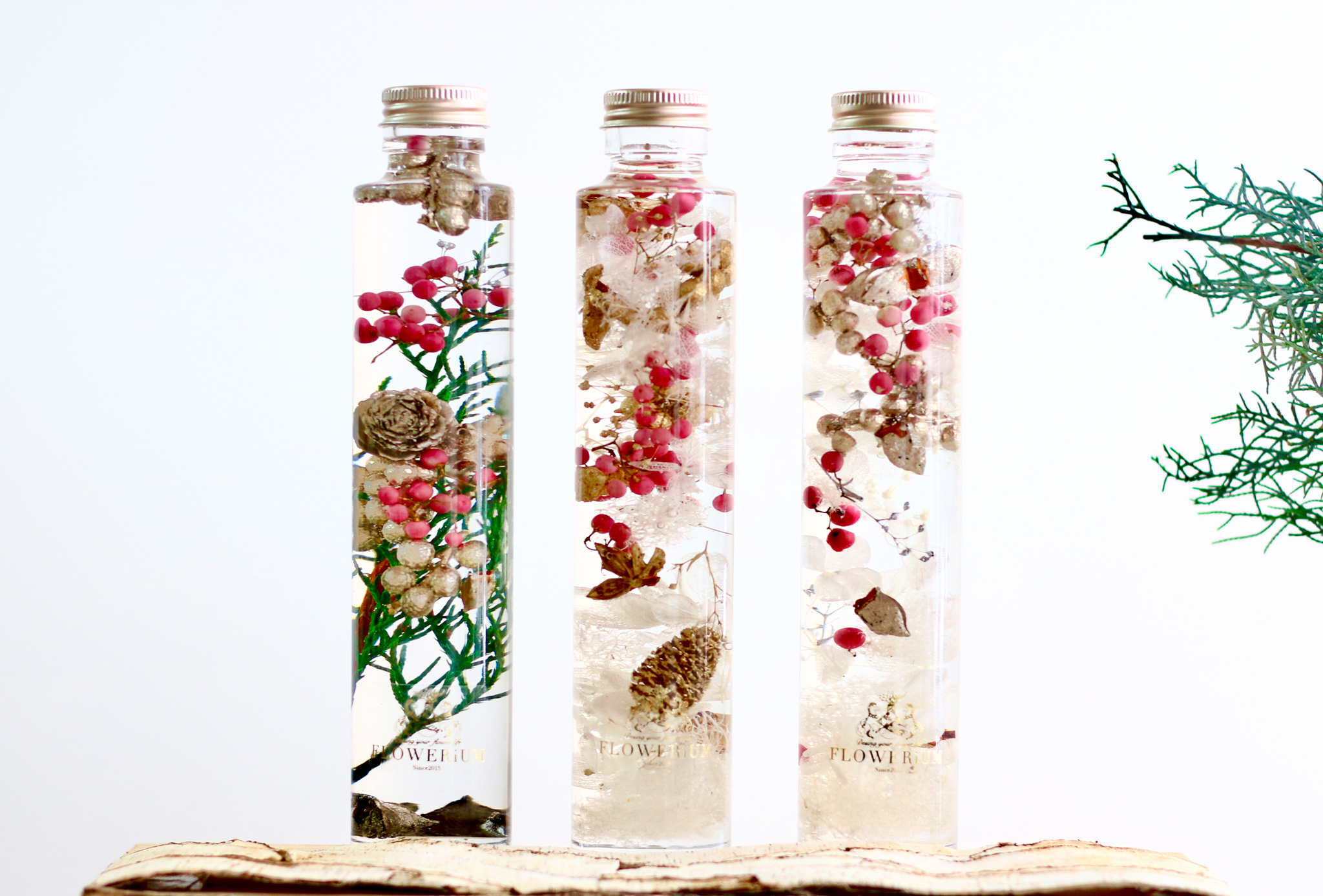 toilette（トワレ）