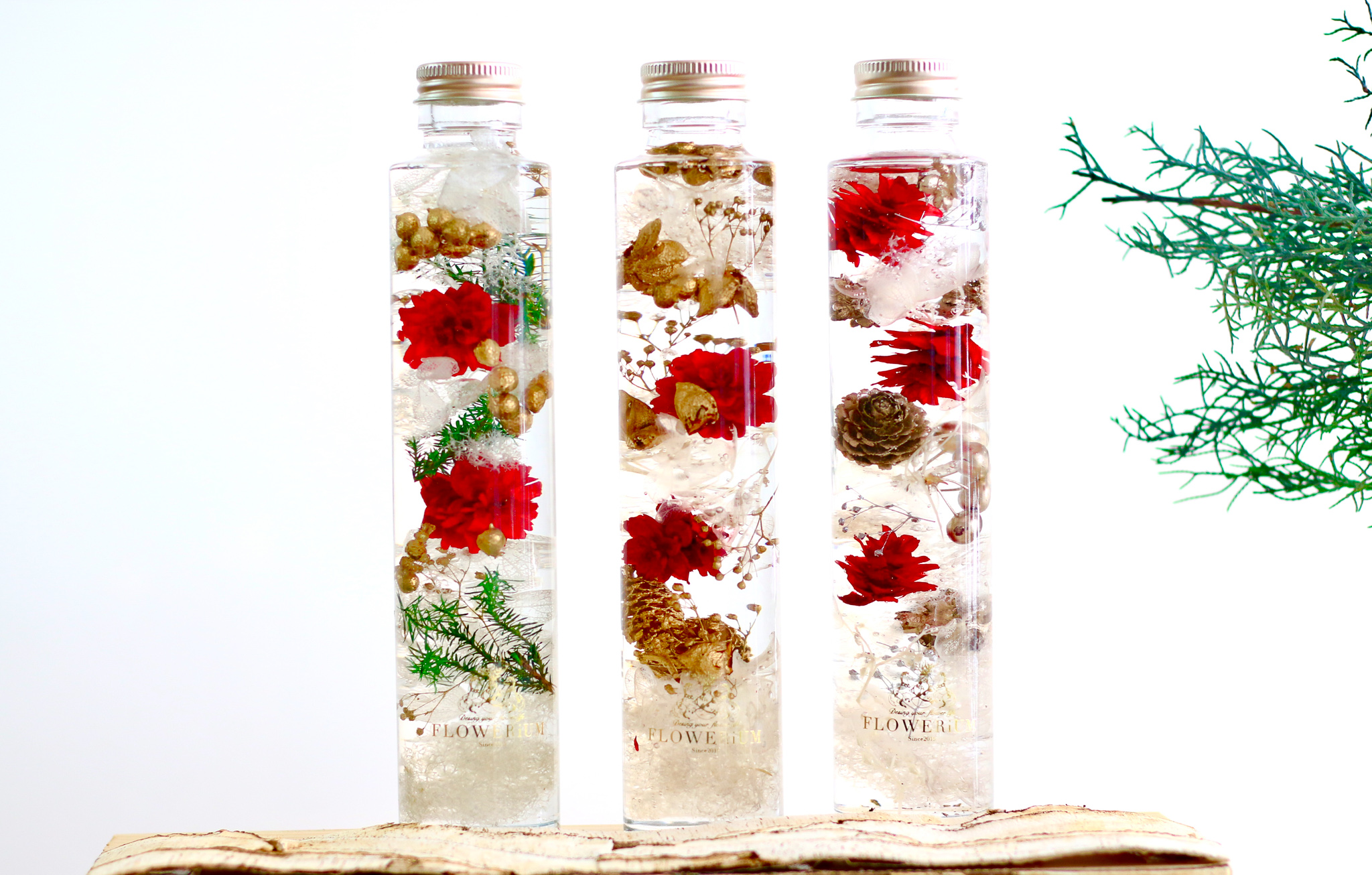 toilette（トワレ）