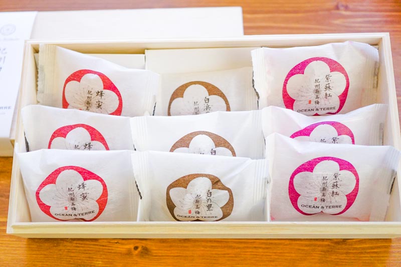 Premium 紀州南高梅 9粒 木箱入り A381