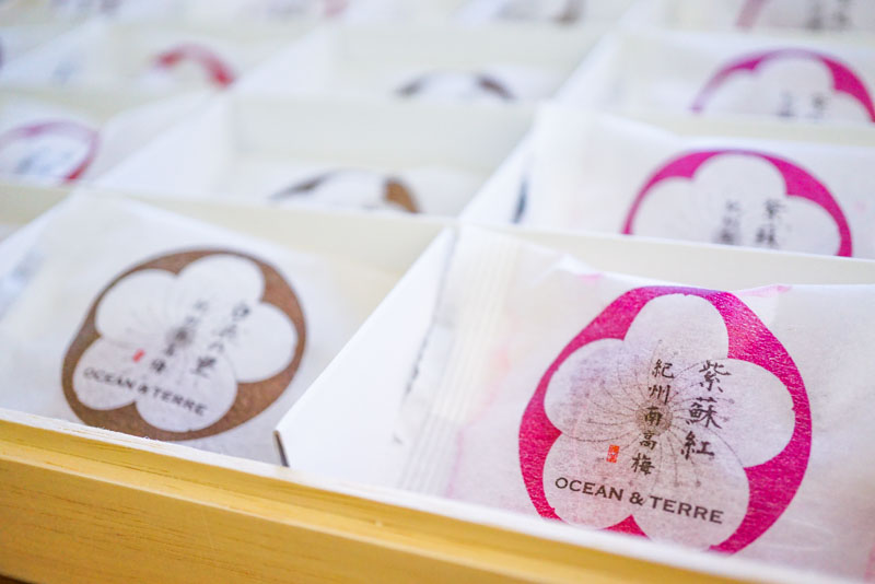 Premium 紀州南高梅 16粒 木箱入り A382