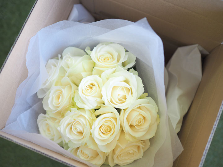 Douzaine de roses ドゥゼーヌ・ドゥ・ローズ [12本のバラ] モダンローズ