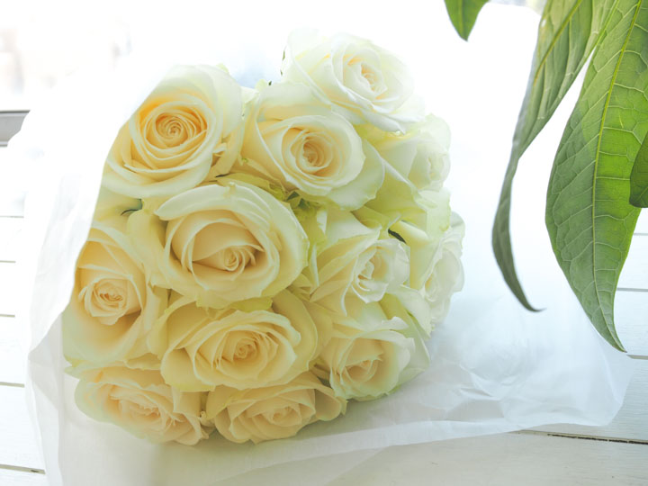 Douzaine de roses ドゥゼーヌ・ドゥ・ローズ [12本のバラ] モダンローズ