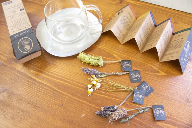 ハーブティー6種入りとカップ＆ステンレスソーサーセット