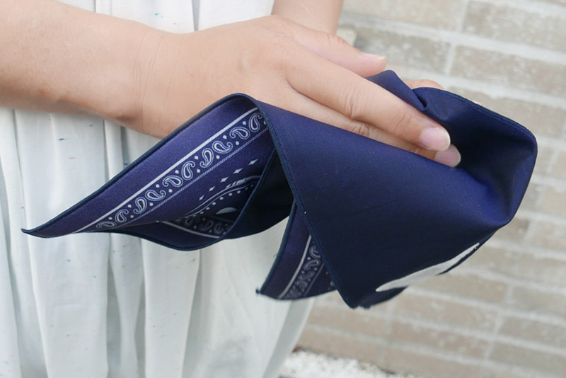 アイウェアが拭けるハンカチ eagle - 三角