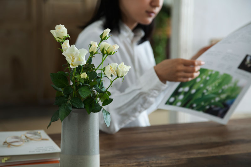花と新聞の定期便3か月ギフトチケット