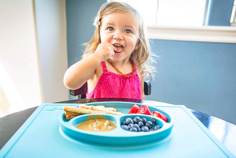 初めての食事セット