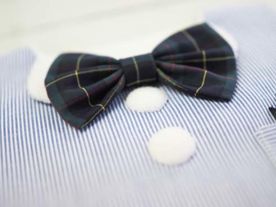 【タンプ限定出産祝い】一人で食べれるもんセット