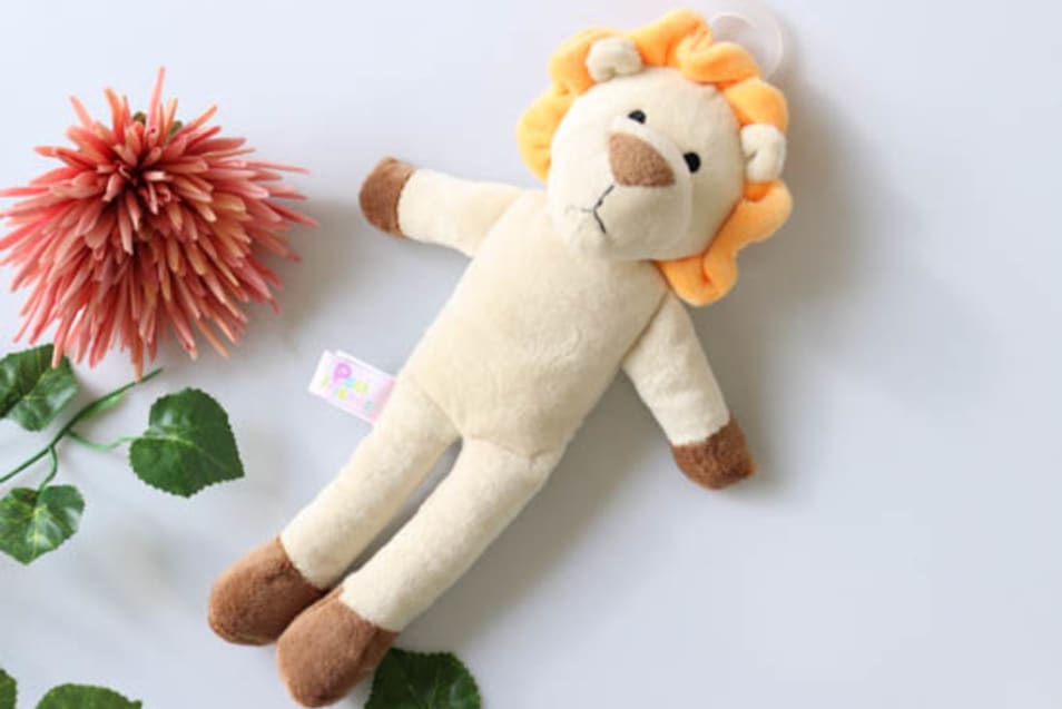 【タンプ限定出産祝い】初めてのおもちゃセット