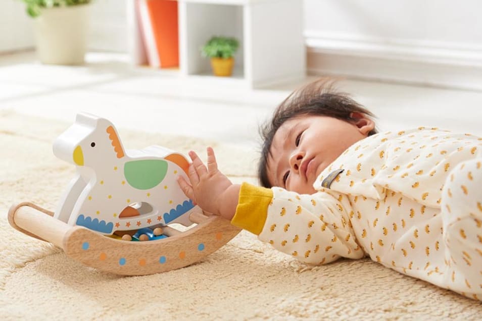 【タンプ限定出産祝い】初めてのおもちゃセット