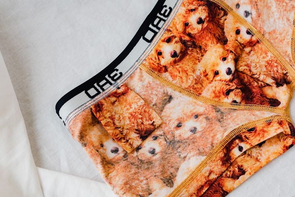ToyPoodles