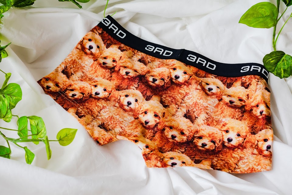 ToyPoodles