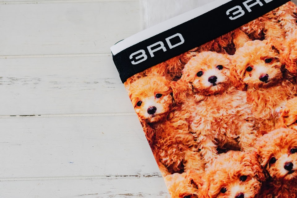 ToyPoodles