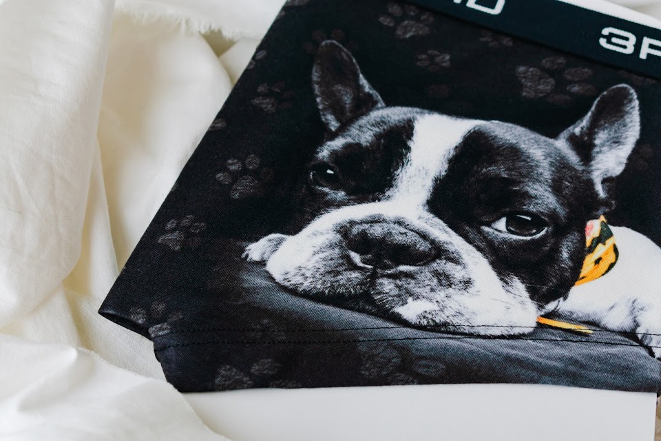 French Bull