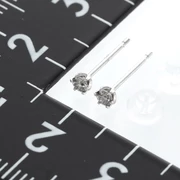 プリザーブドフラワー & プラチナピアス