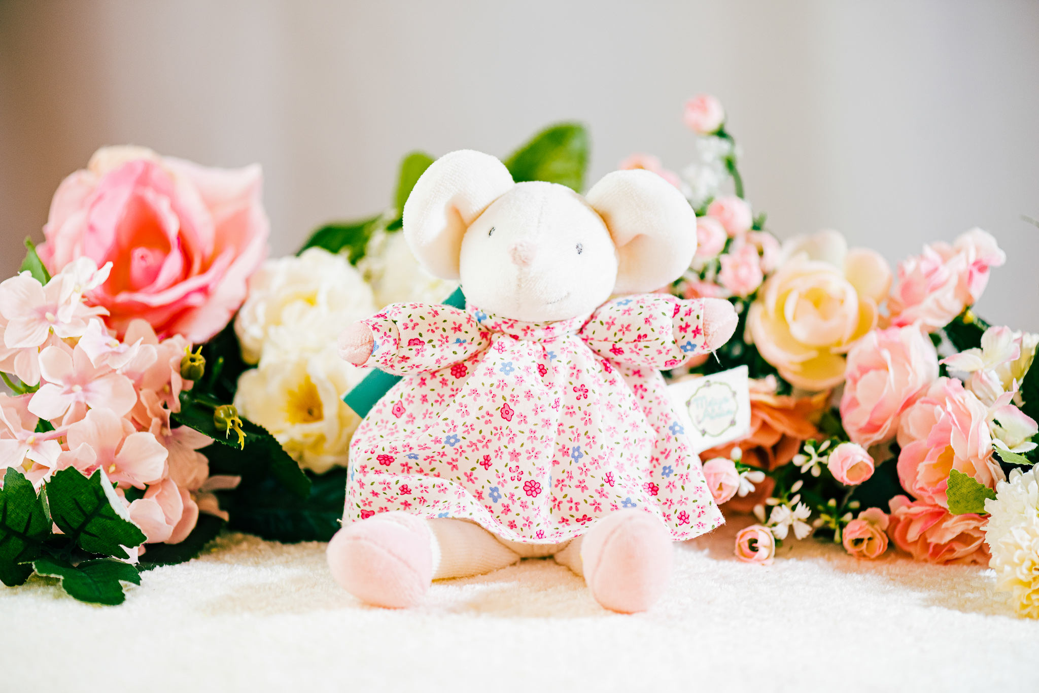  歯固めぬいぐるみセット