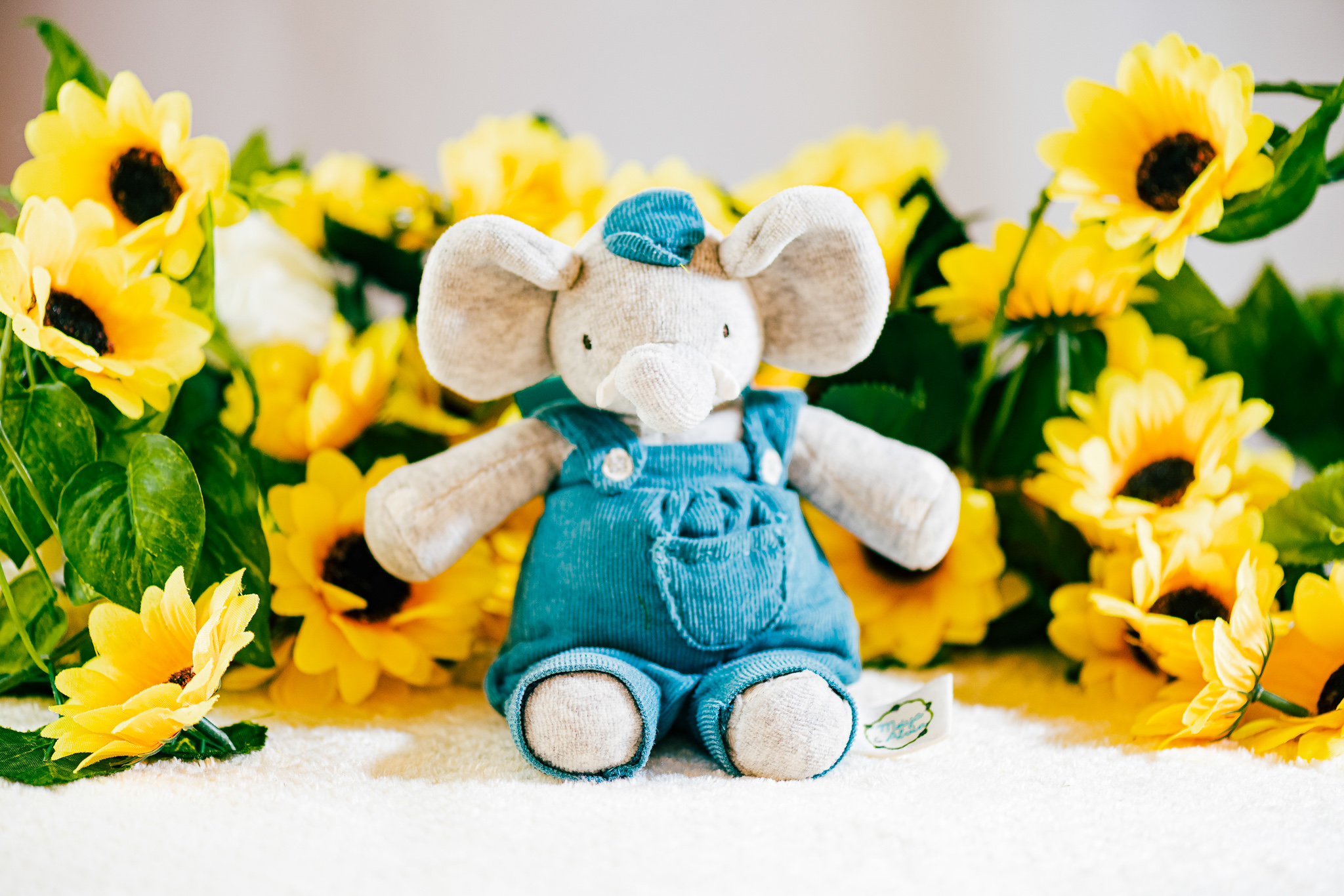  歯固めぬいぐるみセット