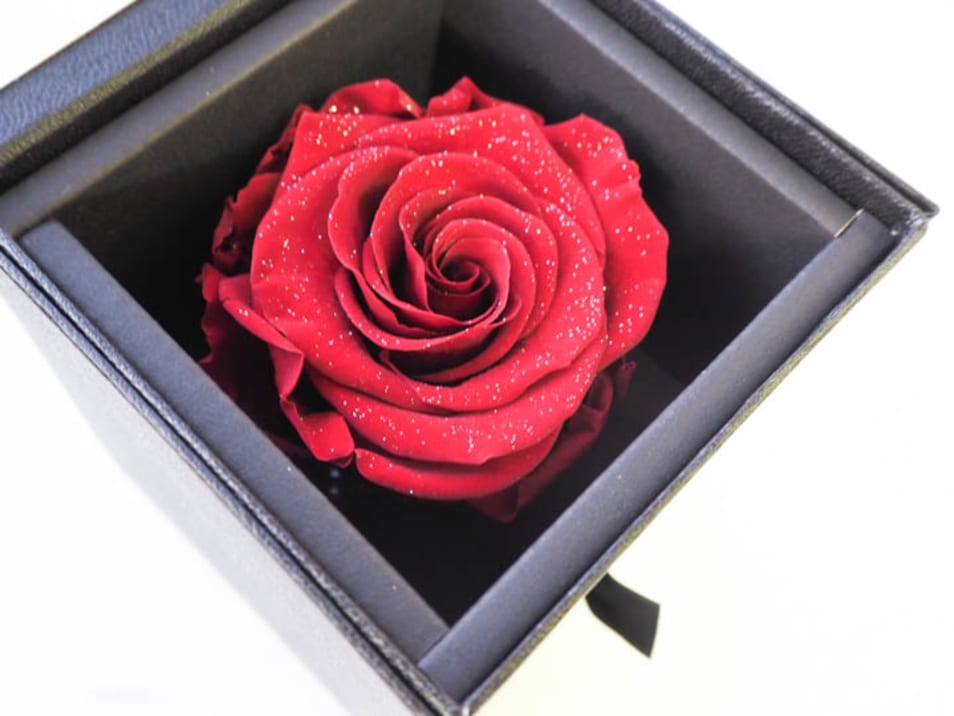 タンプ限定ギフトセット〝リップ＆ネックレス&入浴剤〟