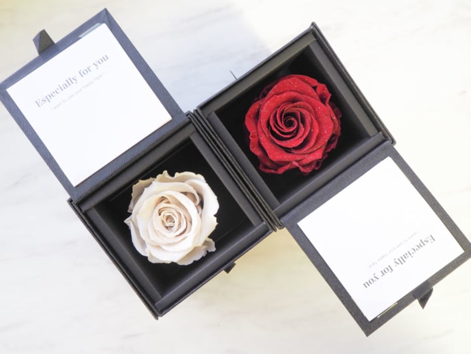 タンプ限定ギフトセット〝リップ＆ネックレス&入浴剤〟