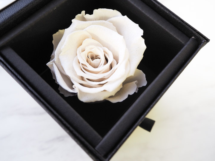 【名入れギフトセット】リップ＆ネックレス＆ウォッチ