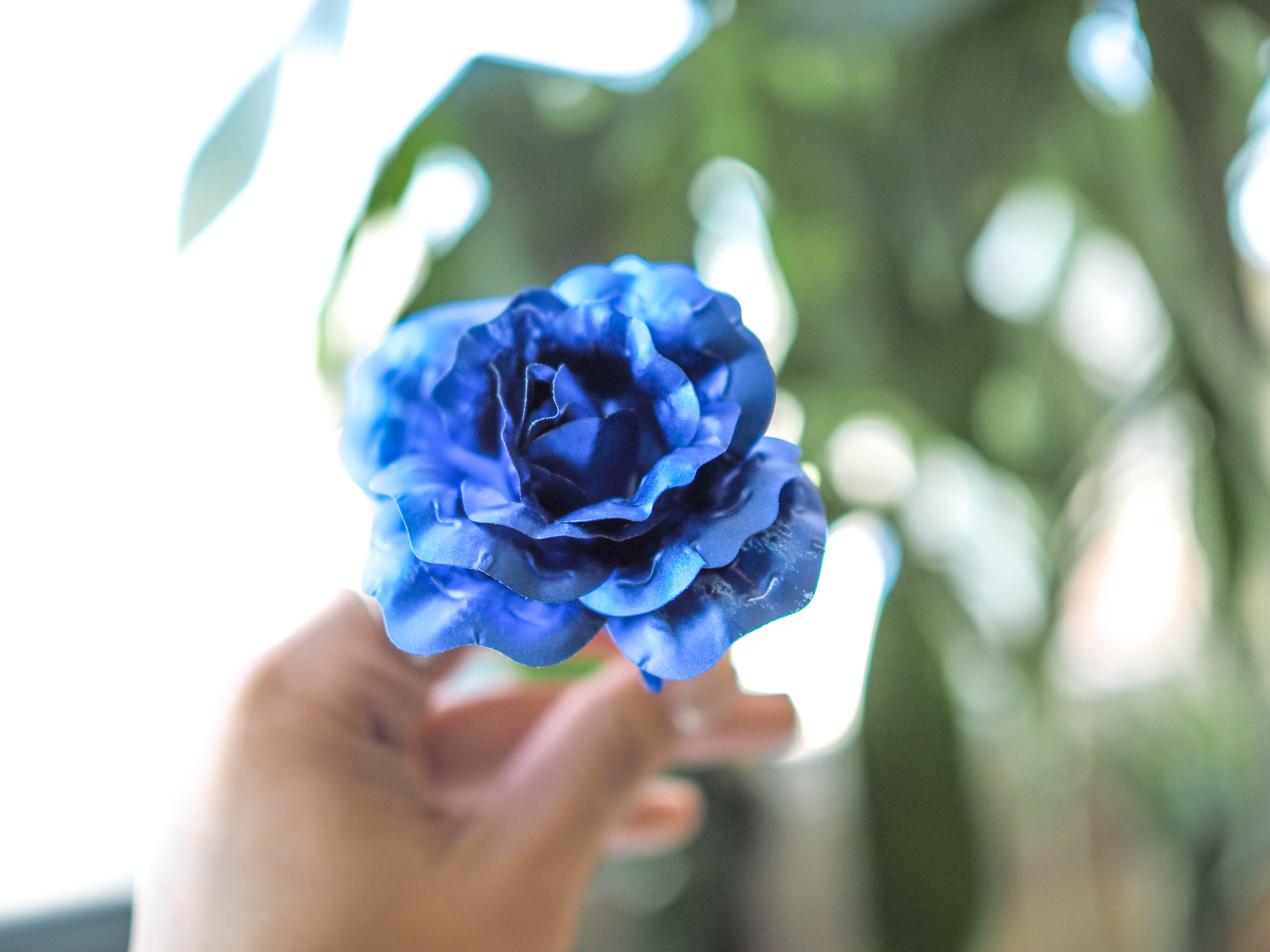 【タンプ限定】ギフトセット〝リップ＆フラワリウム＆ゴールデンローズ＆入浴剤〟