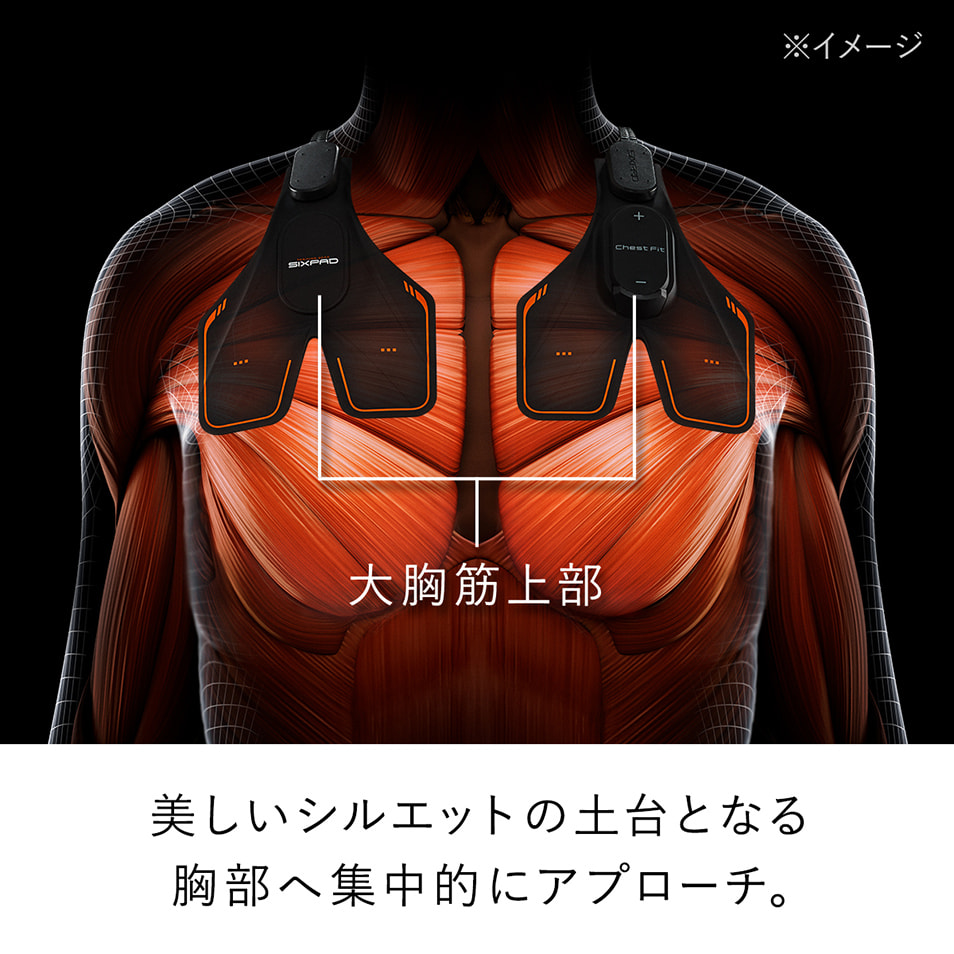 Chest Fit | SIXPAD（シックスパッド）のプレゼント・ギフト通販