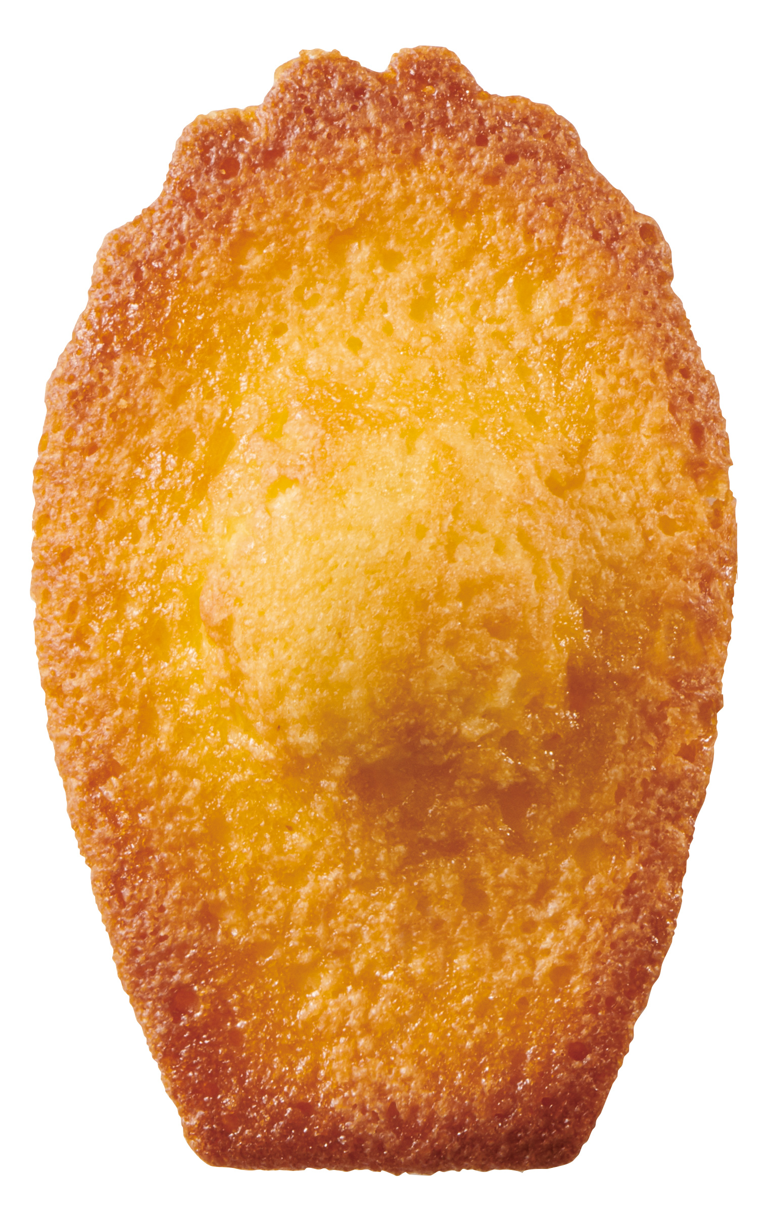 【DALLOYAU】ダロワイヨ マカロンドゥミセック詰め合わせ（大）